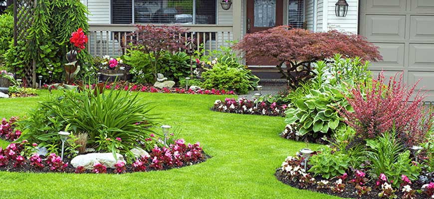 The Ultimate Guide to Sustainable Landscaping in Dubai's Climate