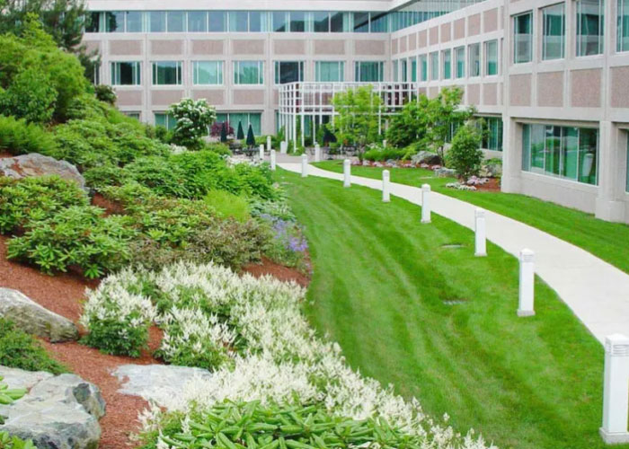 Commercial Landscape