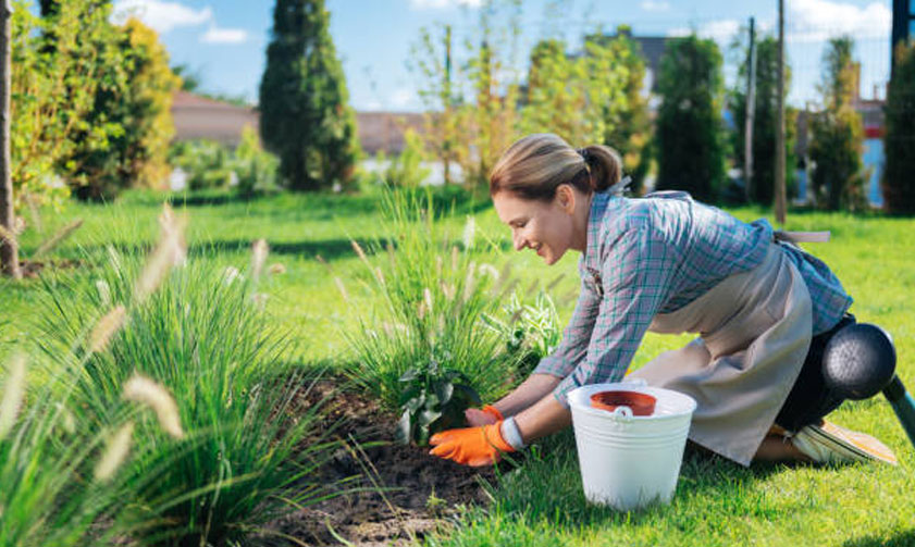 best landscape company dubai