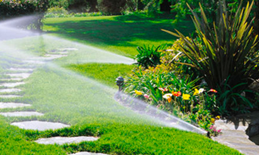 best landscape company dubai