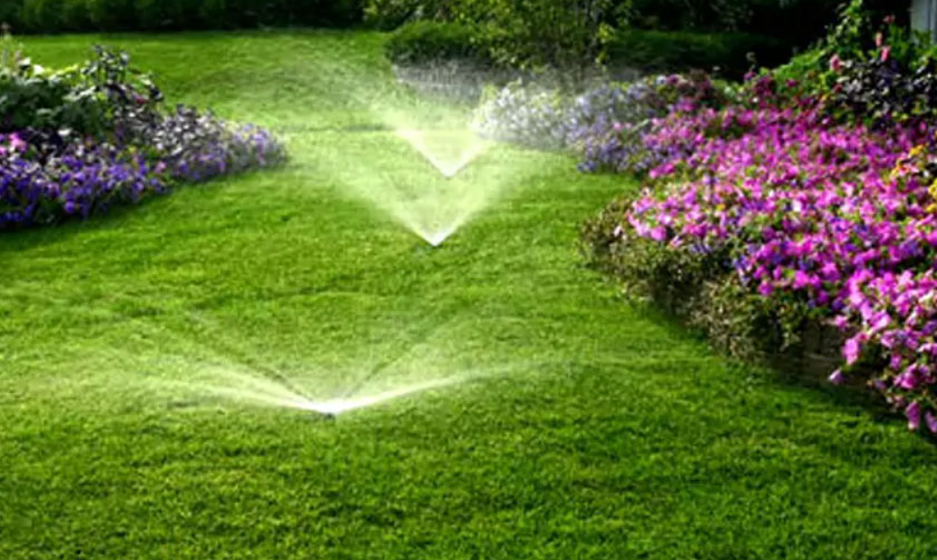 best landscape company dubai