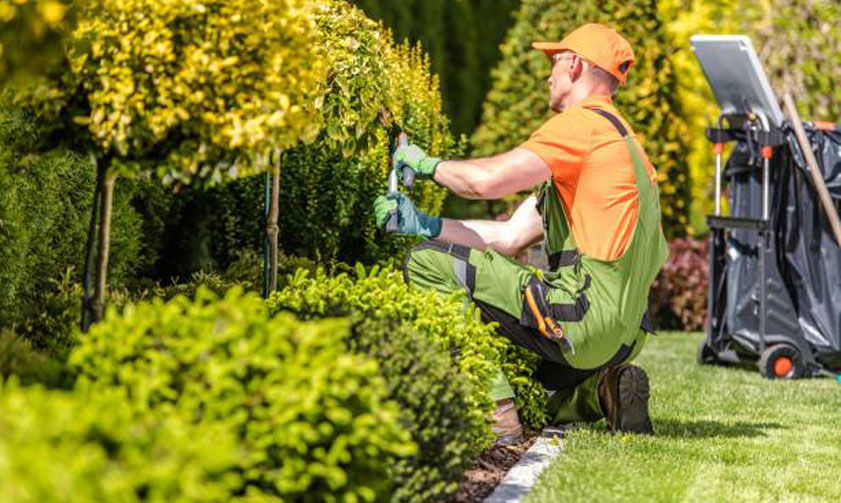 Gardening Services