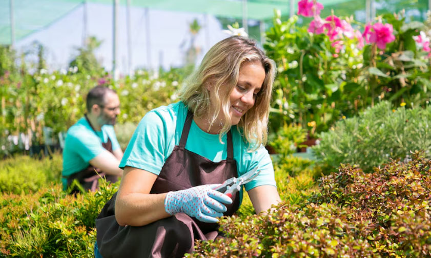 Residential Landscape